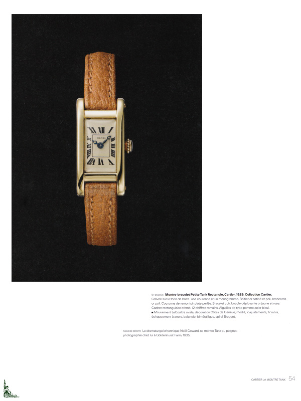 Cartier, la montre Tank - The Cartier Tank Watch, French book | eBay